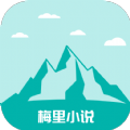成品视频下载官方版APP应用